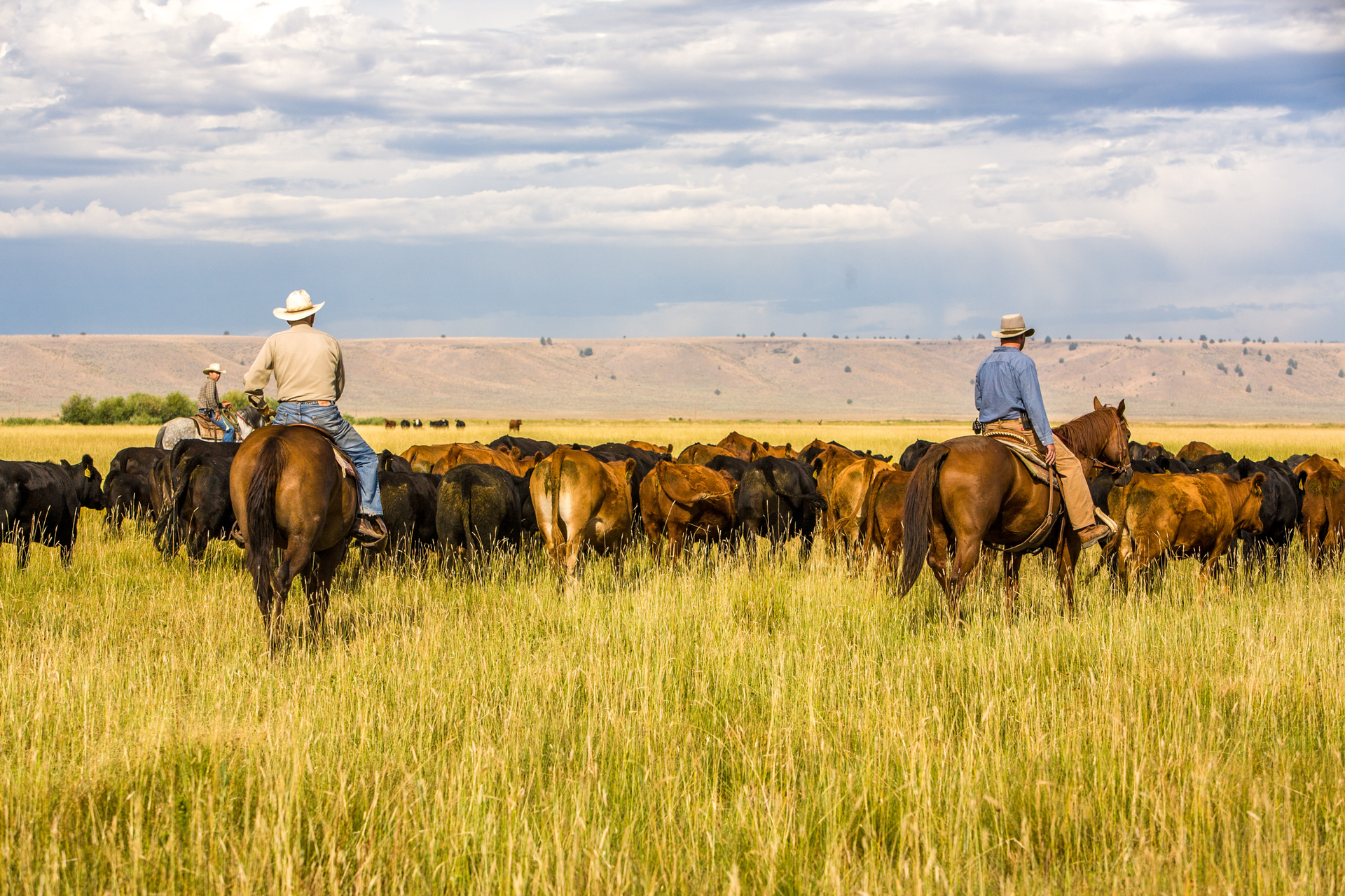 Typical Oregon Rancher Home Page for Central Oregon Rancher Magazine