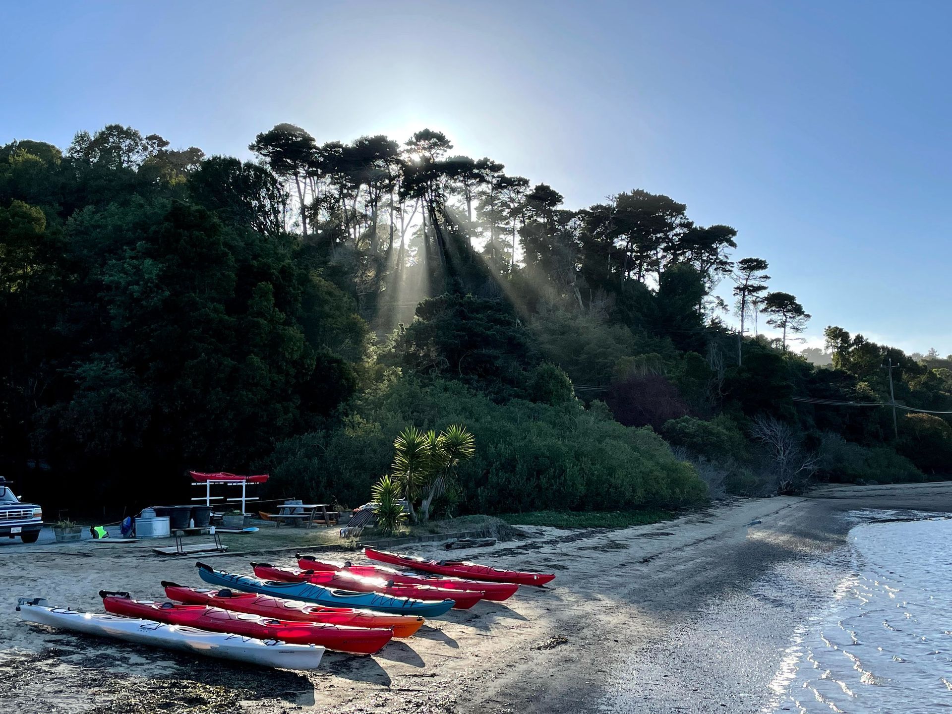 A row of kayaks on a beach with the sun shining through the trees