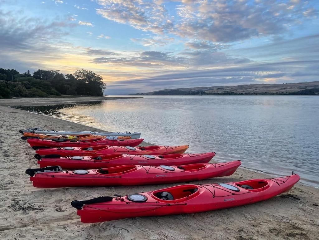 A row of red kayaks are lined up on the beach near the water.