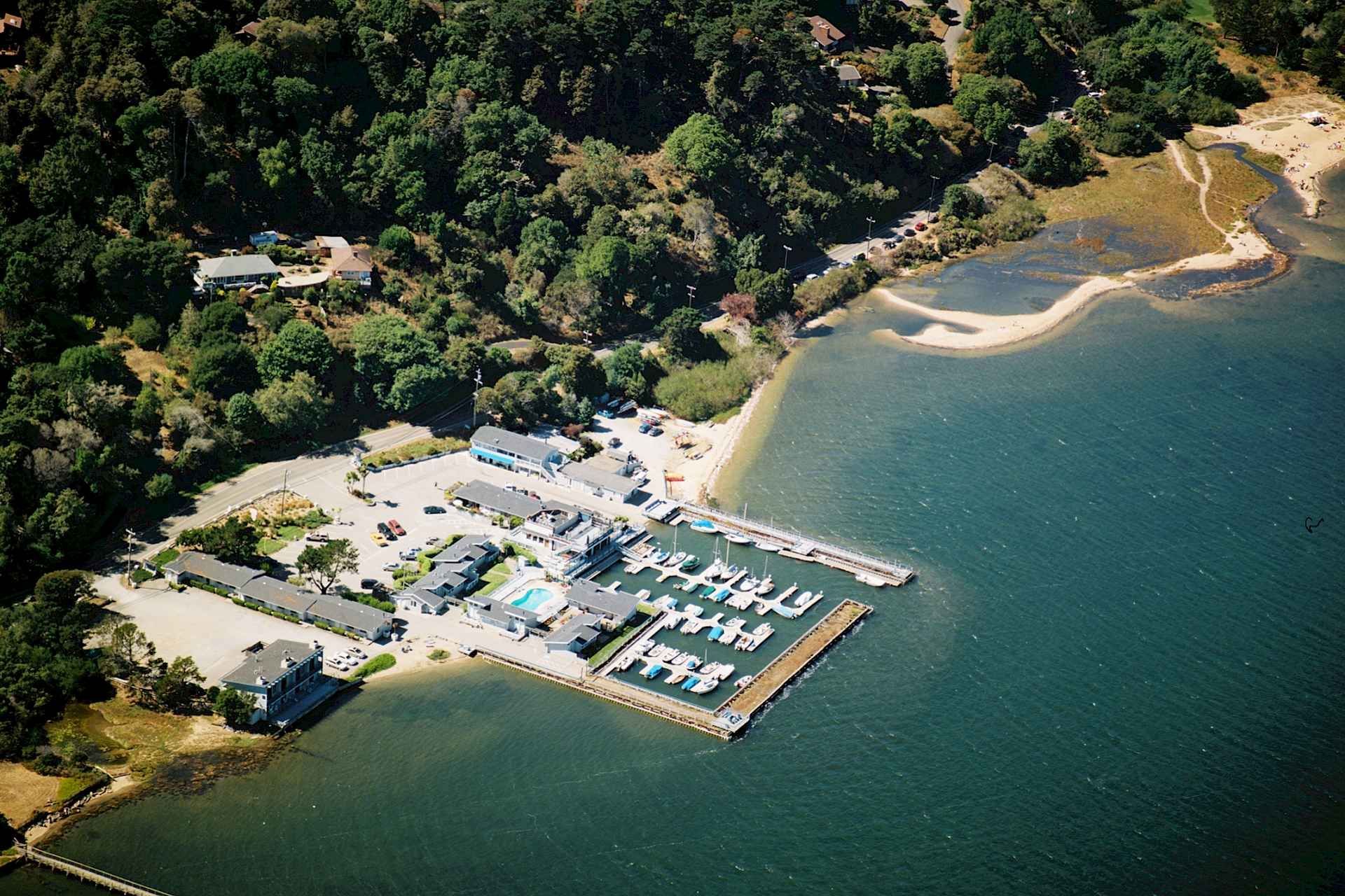 An aerial view of a marina surrounded by trees