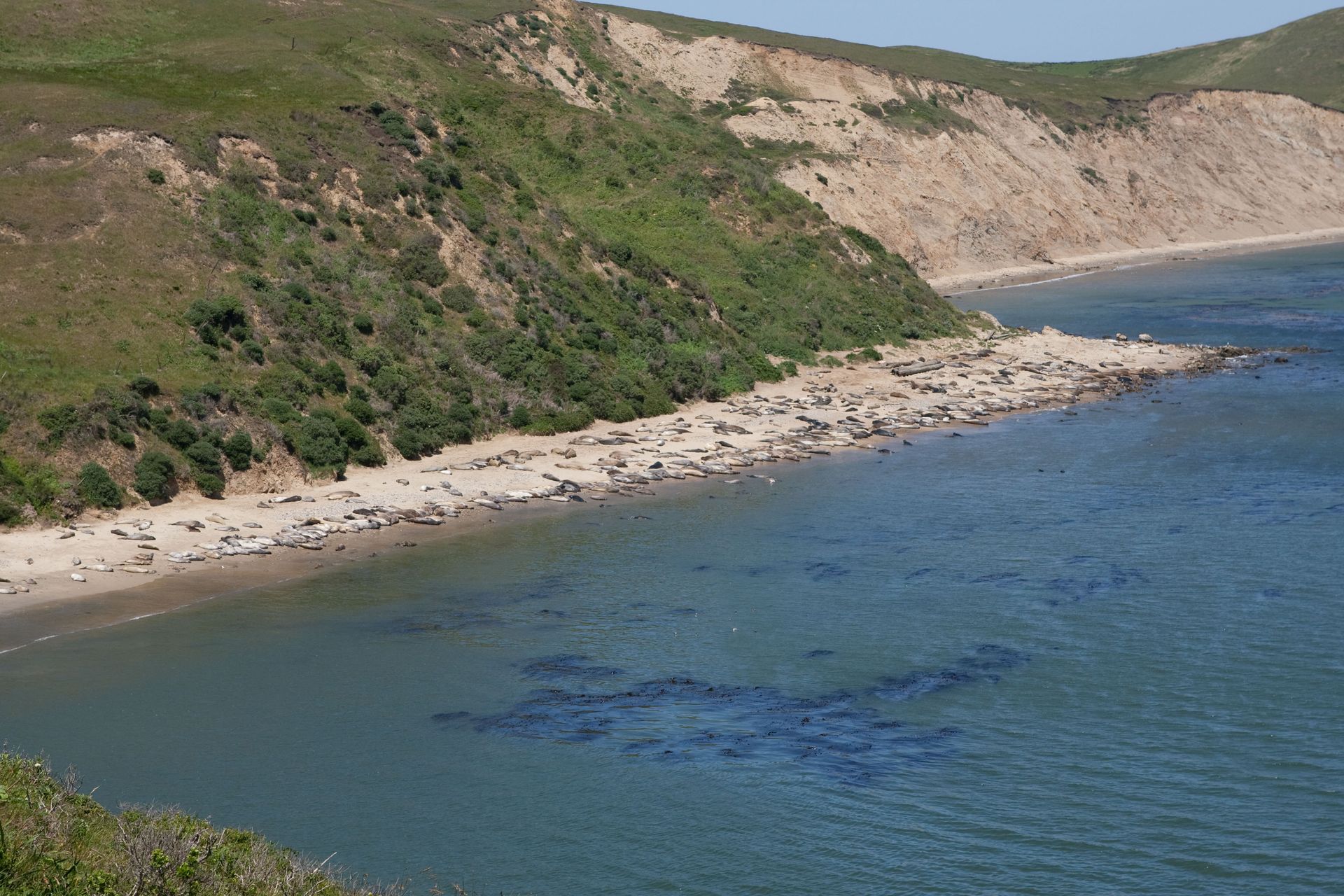 A large body of water with a cliff in the background