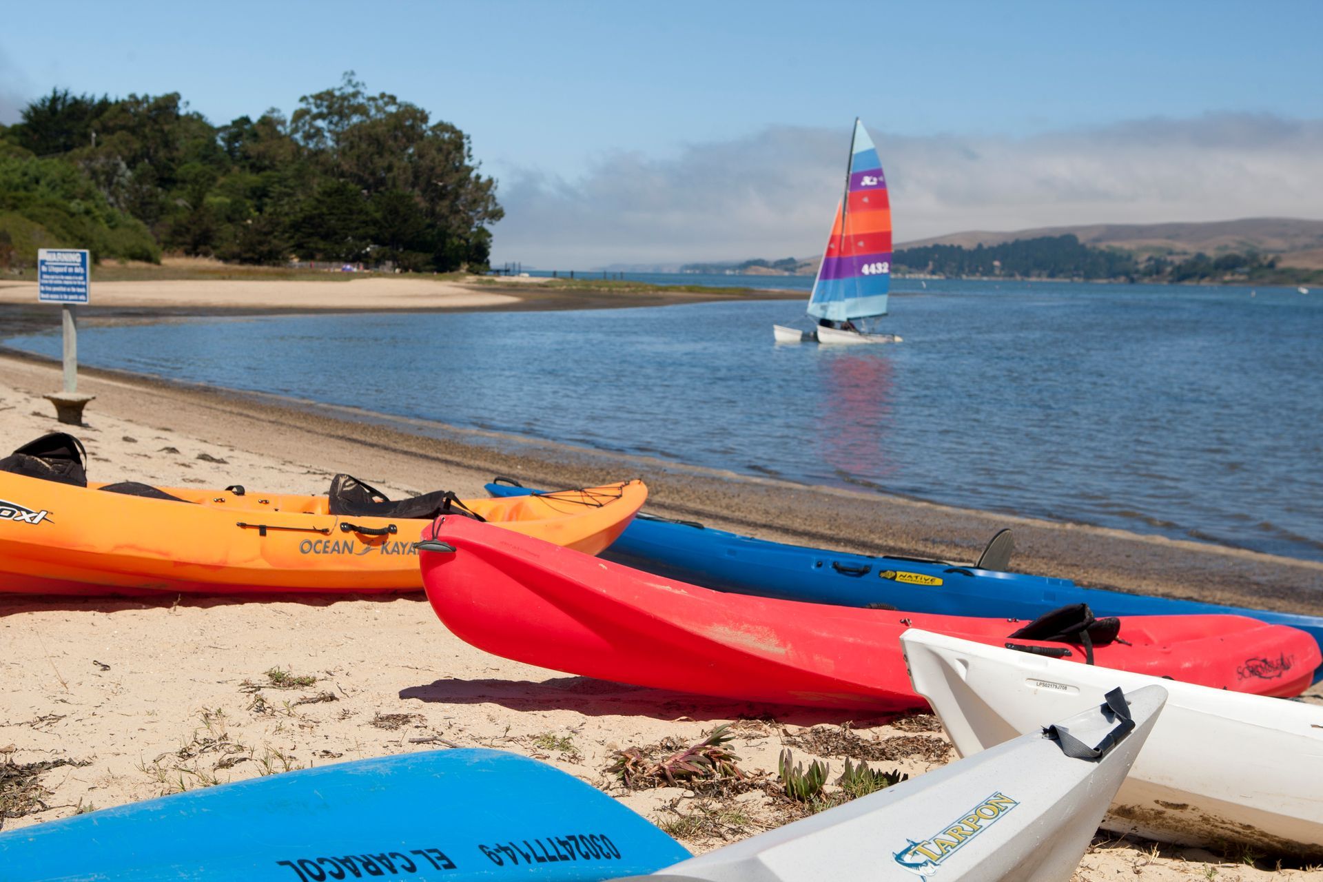 A row of kayaks on a beach with a sailboat in the background