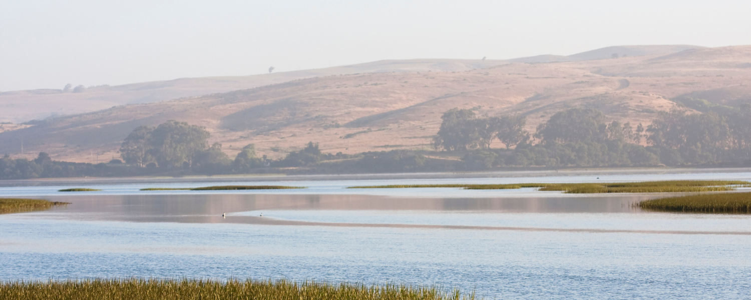 A tranquil lake with grassy marsh in the foreground, rolling hills in the background, and a hazy sky.