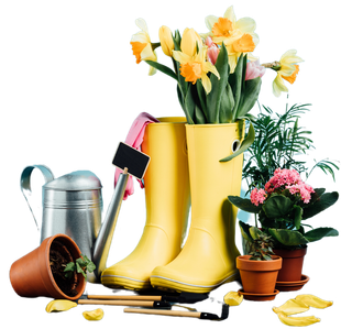 Stivali da pioggia gialli con fiori, un annaffiatoio, attrezzi da giardinaggio e piante in vaso su sfondo bianco.