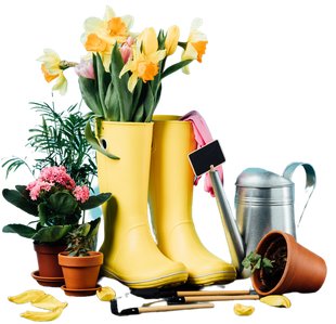 Stivali da pioggia gialli con fiori, piante in vaso, annaffiatoio, paletta e guanti da giardinaggio su sfondo bianco.