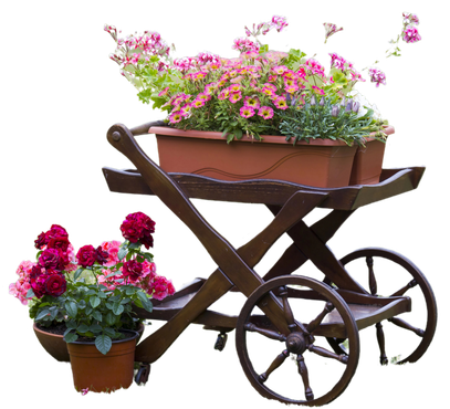 Fioriera a forma di carriola in legno con fiori rosa e un vaso di fiori rossi su sfondo bianco.