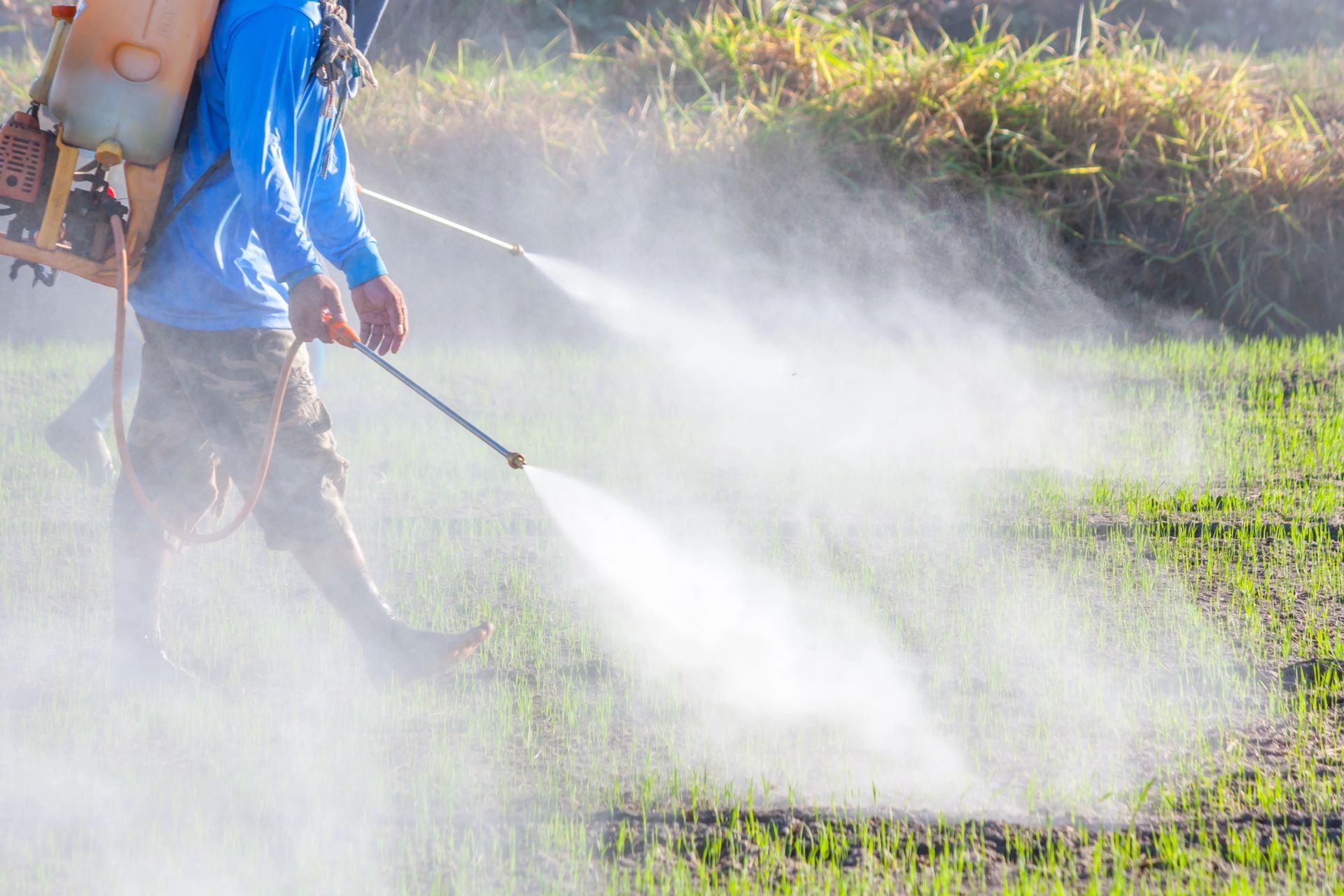 Un operaio irrora le colture con pesticidi in un campo soleggiato.