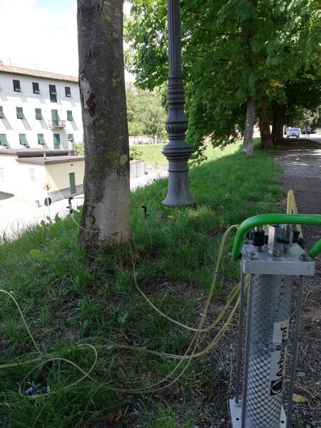 Sentiero lungo il fiume con un lampione, alberi e attrezzature di servizio accanto al prato