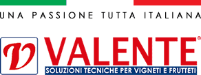 Logo Valente in rosso e blu con slogan italiano su sfondo bianco.