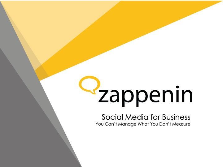 A logo for zappenin social media for business