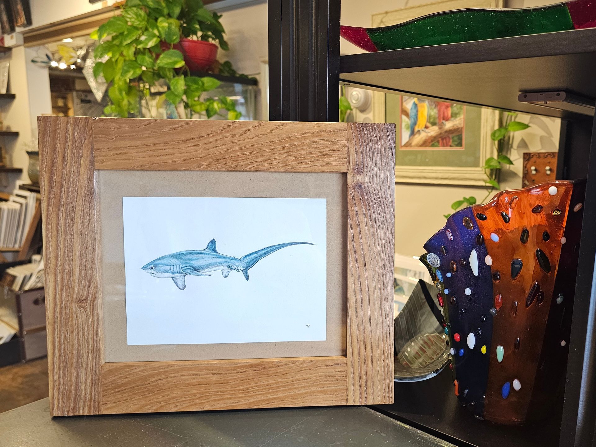 Pelagic Thresher Print