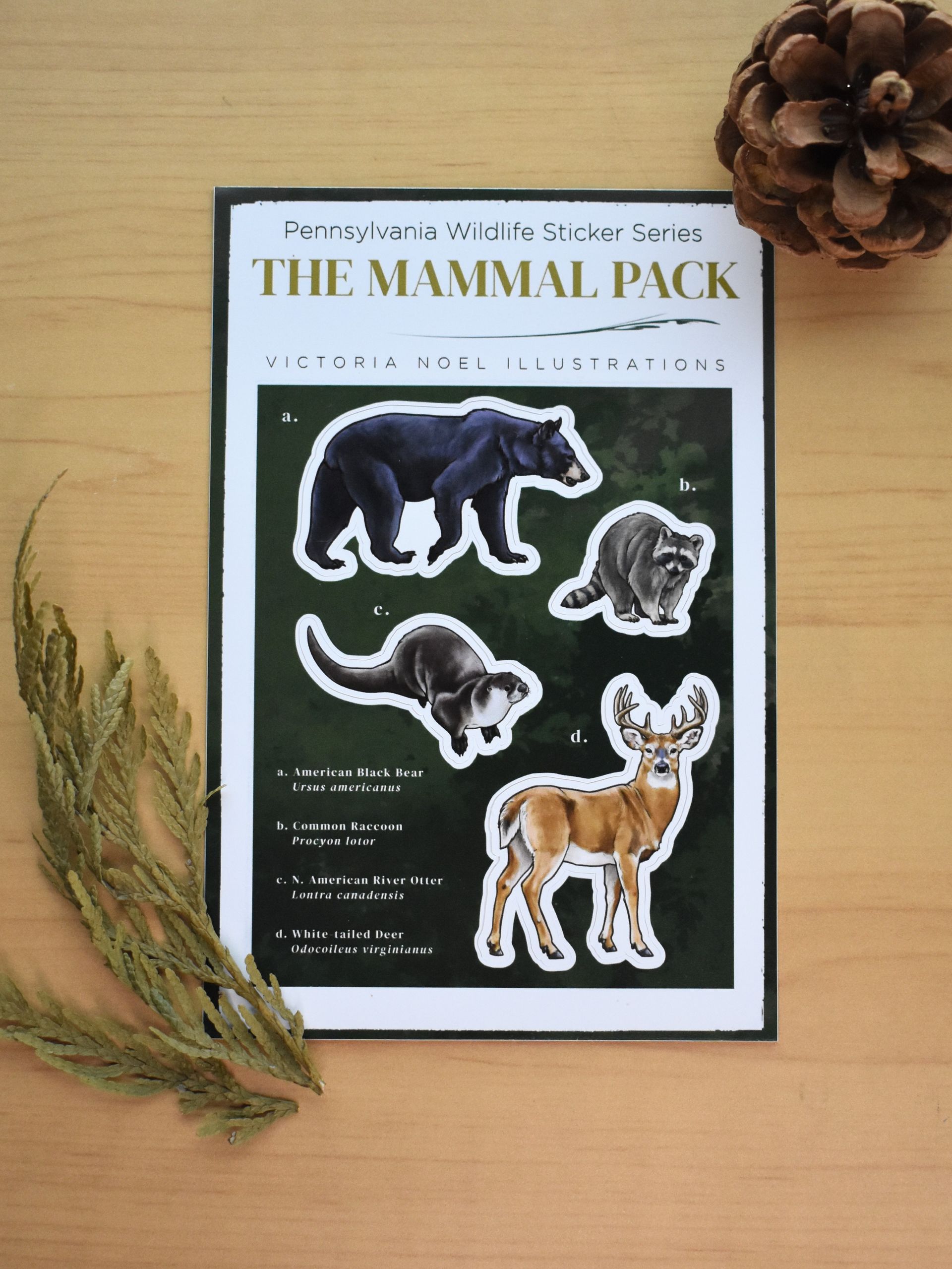 PA Wildlife Sticker Sheet: The Mammal Pack