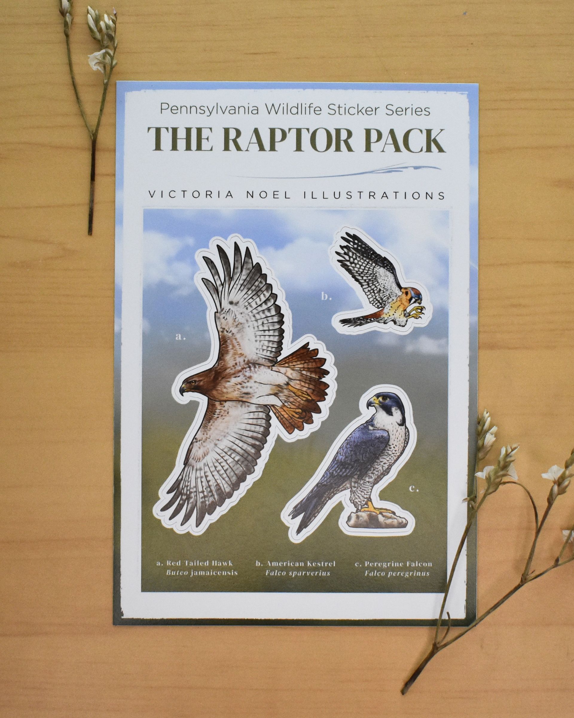 PA Wildlife Sticker Sheet: The Raptor Pack