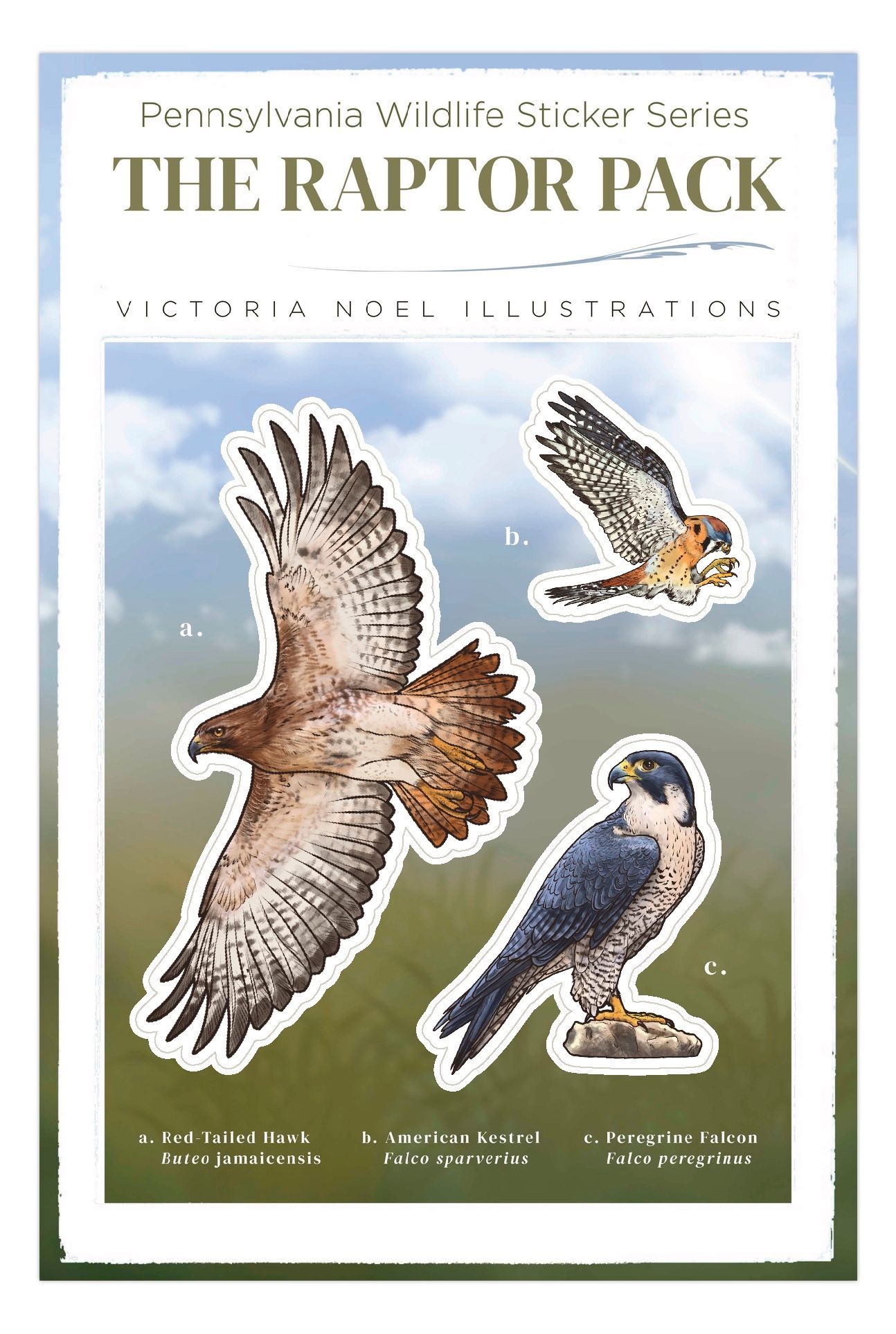 PA Wildlife Sticker Sheet: The Raptor Pack