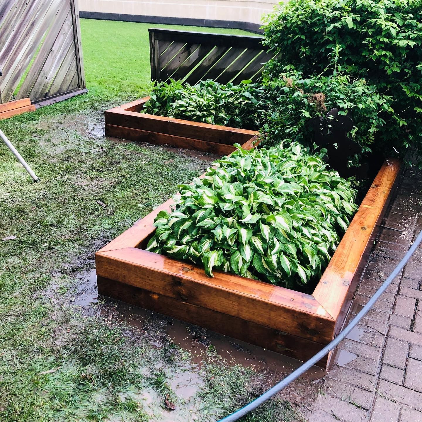 Black rectangular planters with red flowers and green herbs on a wooden deck