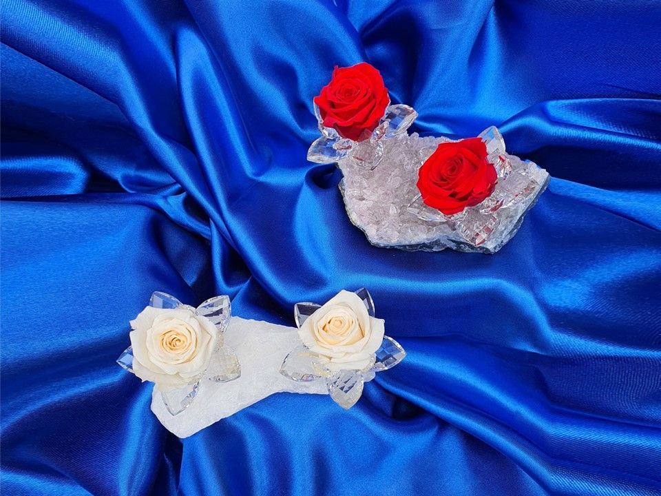 Rose stabilizzate 5