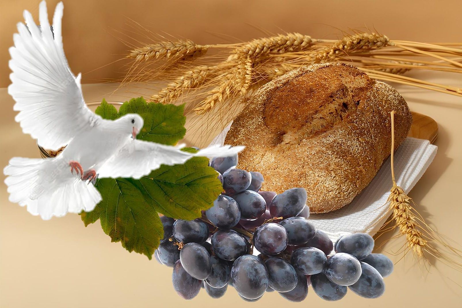 Comunione e Cresima