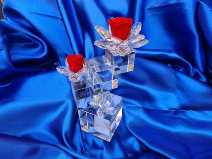Rose stabilizzate 1