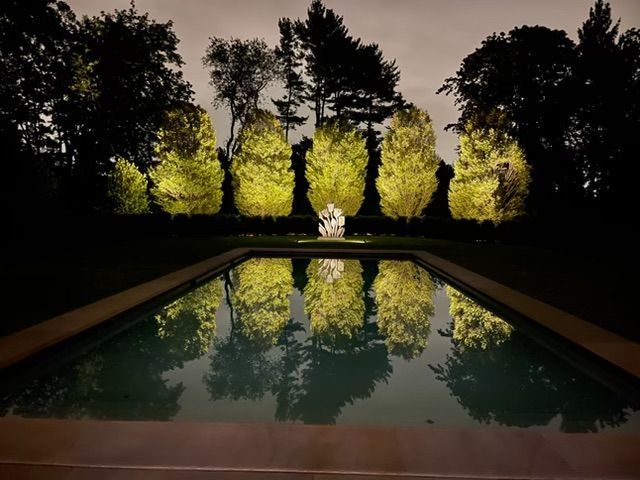 Illuminated trees reflected in a still outdoor pool at night