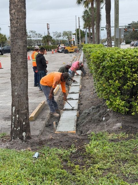 Workers installing sidewalk pavers beside a hedge and palm trees along a landscaped street.