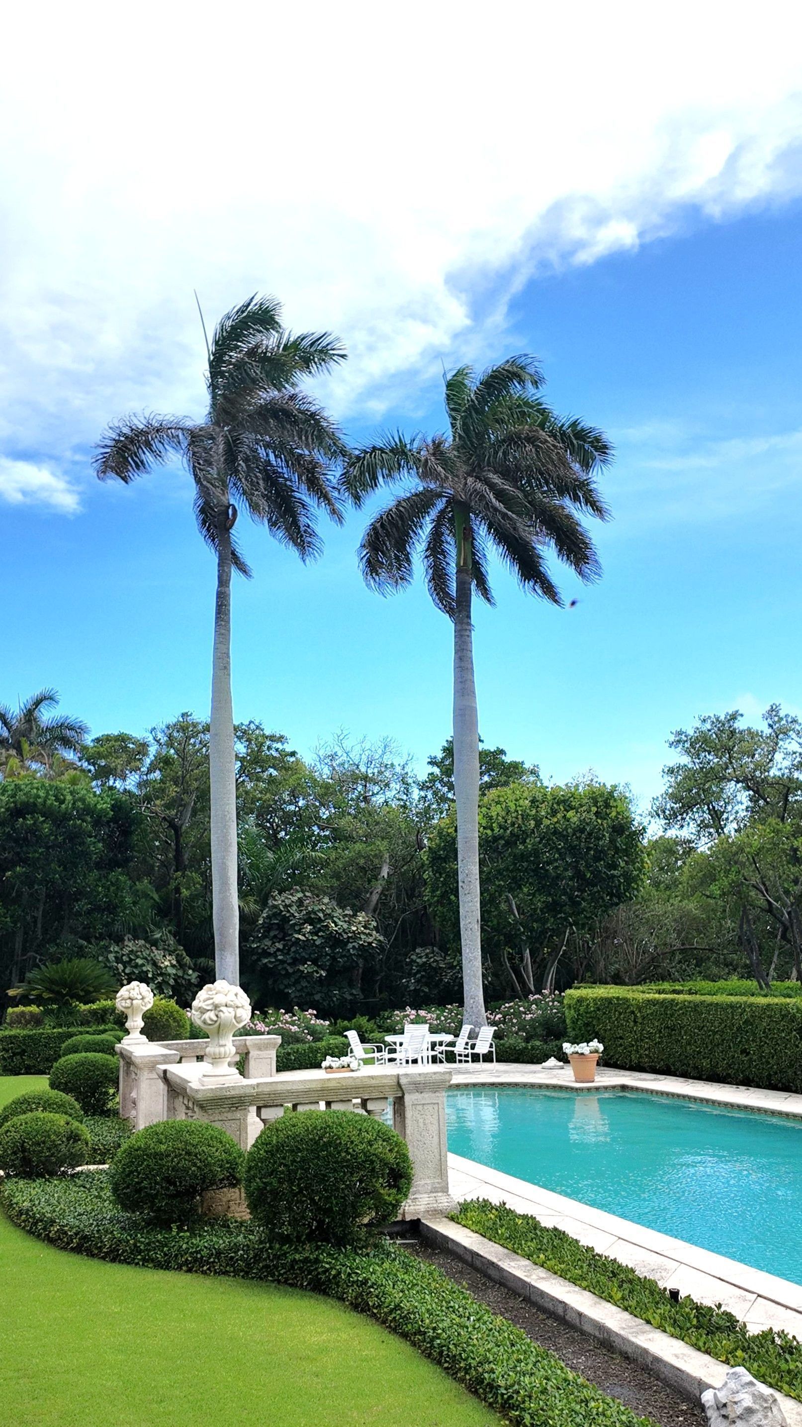 Palm trees beside a turquoise pool in a sunny tropical garden