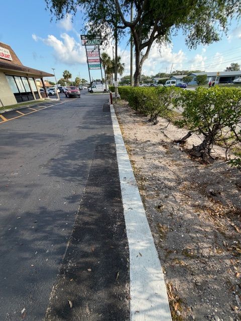 Sidewalk beside a parking lot and storefront, with trimmed bushes, palm trees, and a sunny blue sky.