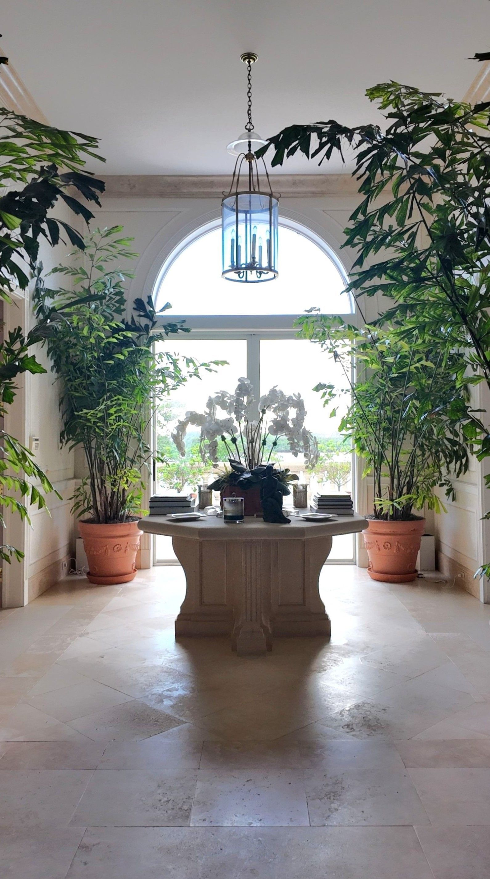 Bright sunlit foyer with arched window, central table, and tall potted plants on both sides