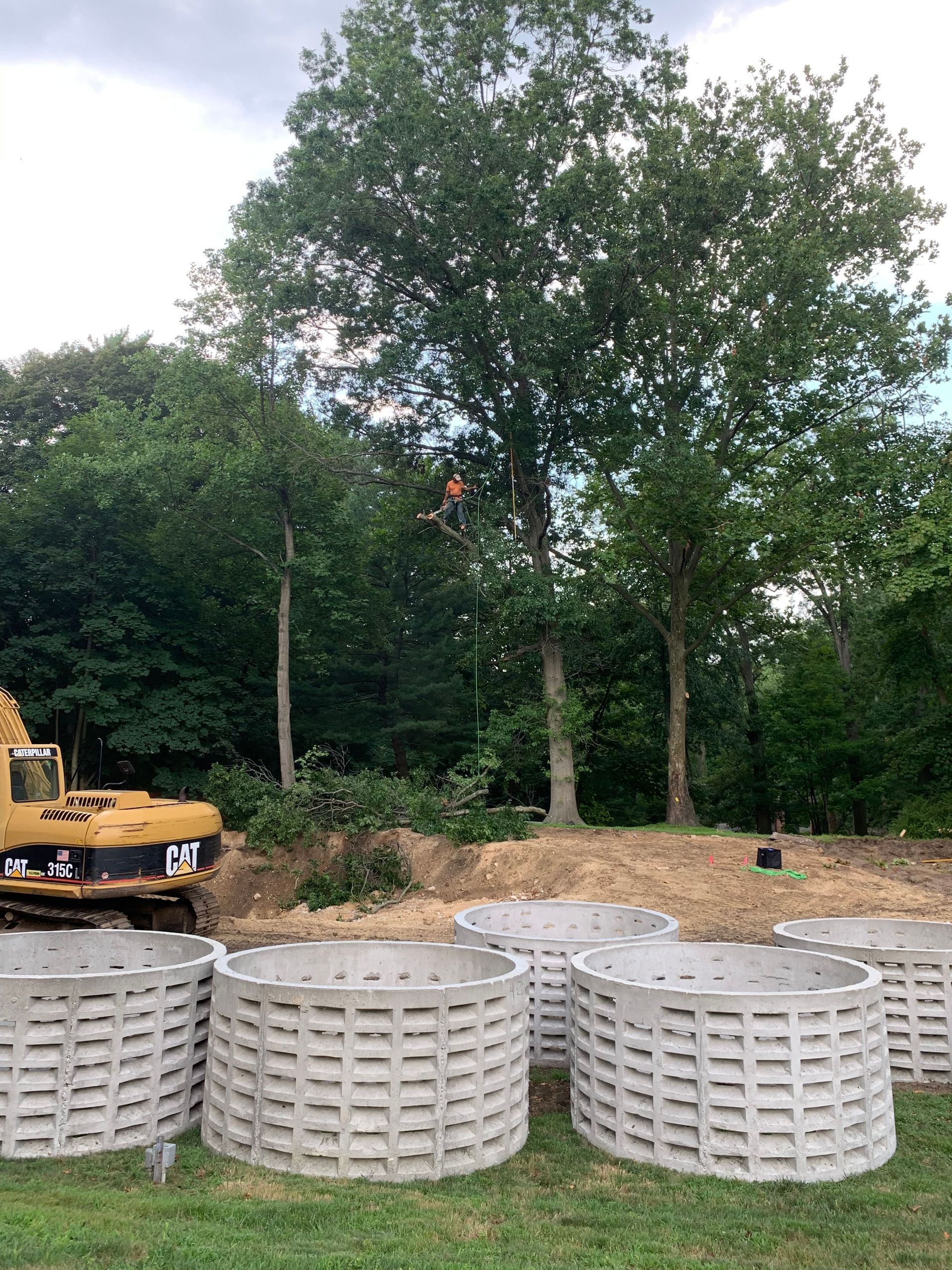 A group of concrete planters are sitting on top of a lush green field.