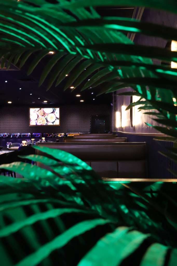 A dim restaurant interior featuring brown booths and a wall-mounted TV, viewed through vibrant green palm leaves.