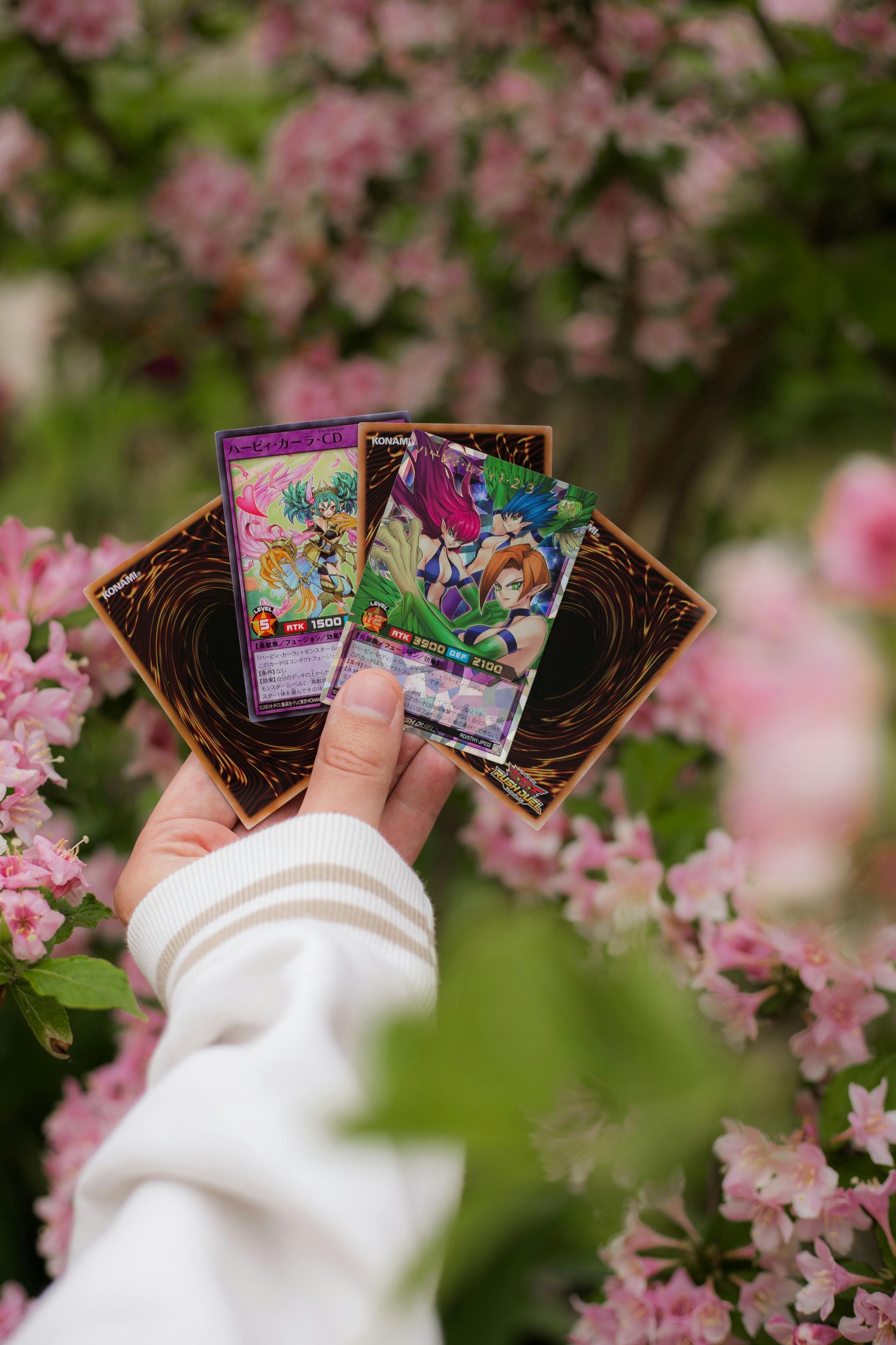 Hand holding four trading cards amid pink blossoms outdoors