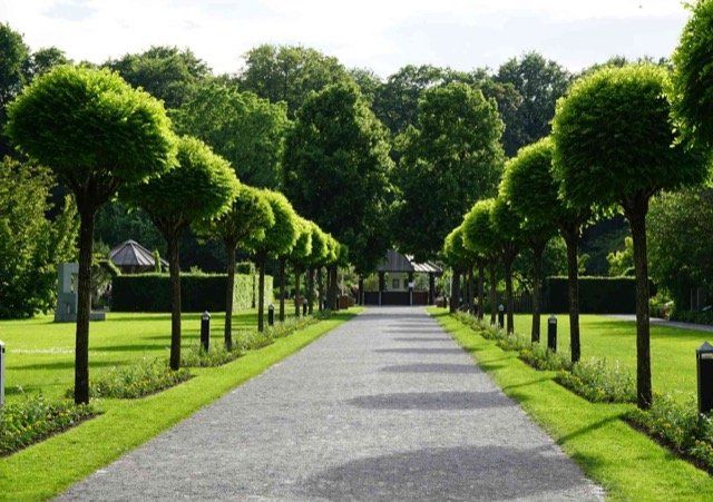 commercial landscaping and lawn care services richmond BC