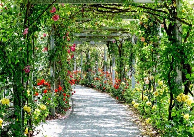 commercial landscaping services richmond BC