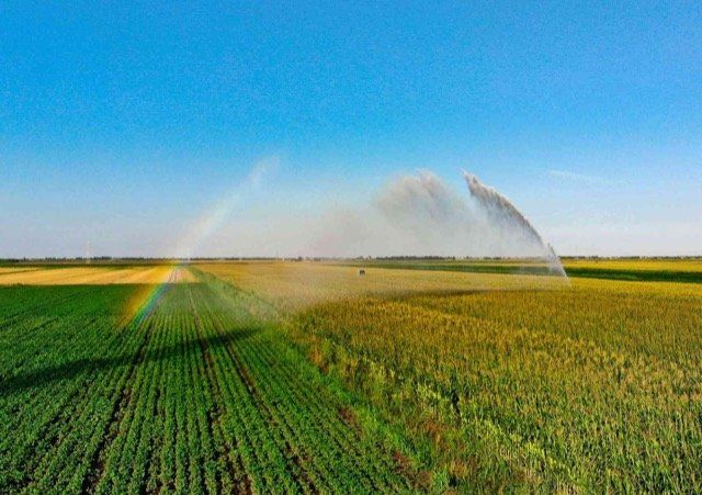drainage companies richmond BC