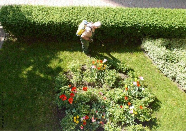 landscape design richmond richmond BC