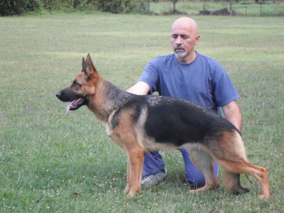 Sissi Ussy d'Ulmental