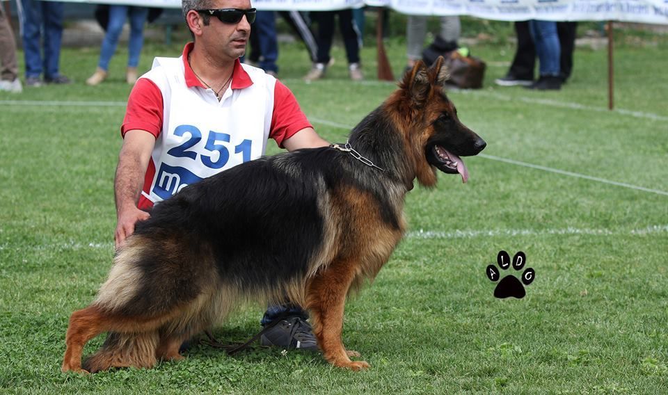 Roby con Amy d'Ulmental