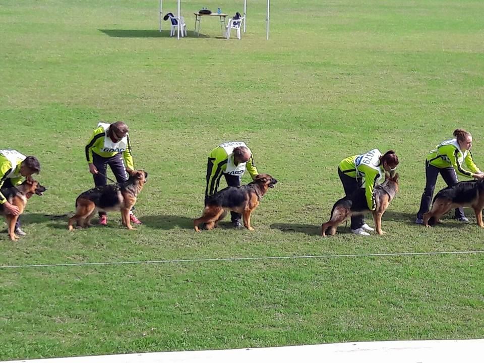 Campionato Italiano Sas del 2016 cani