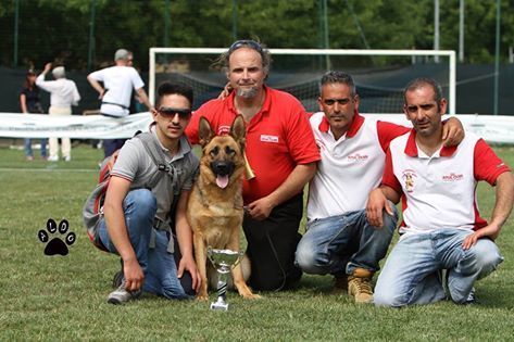 Wiky al Walter Gorrieri