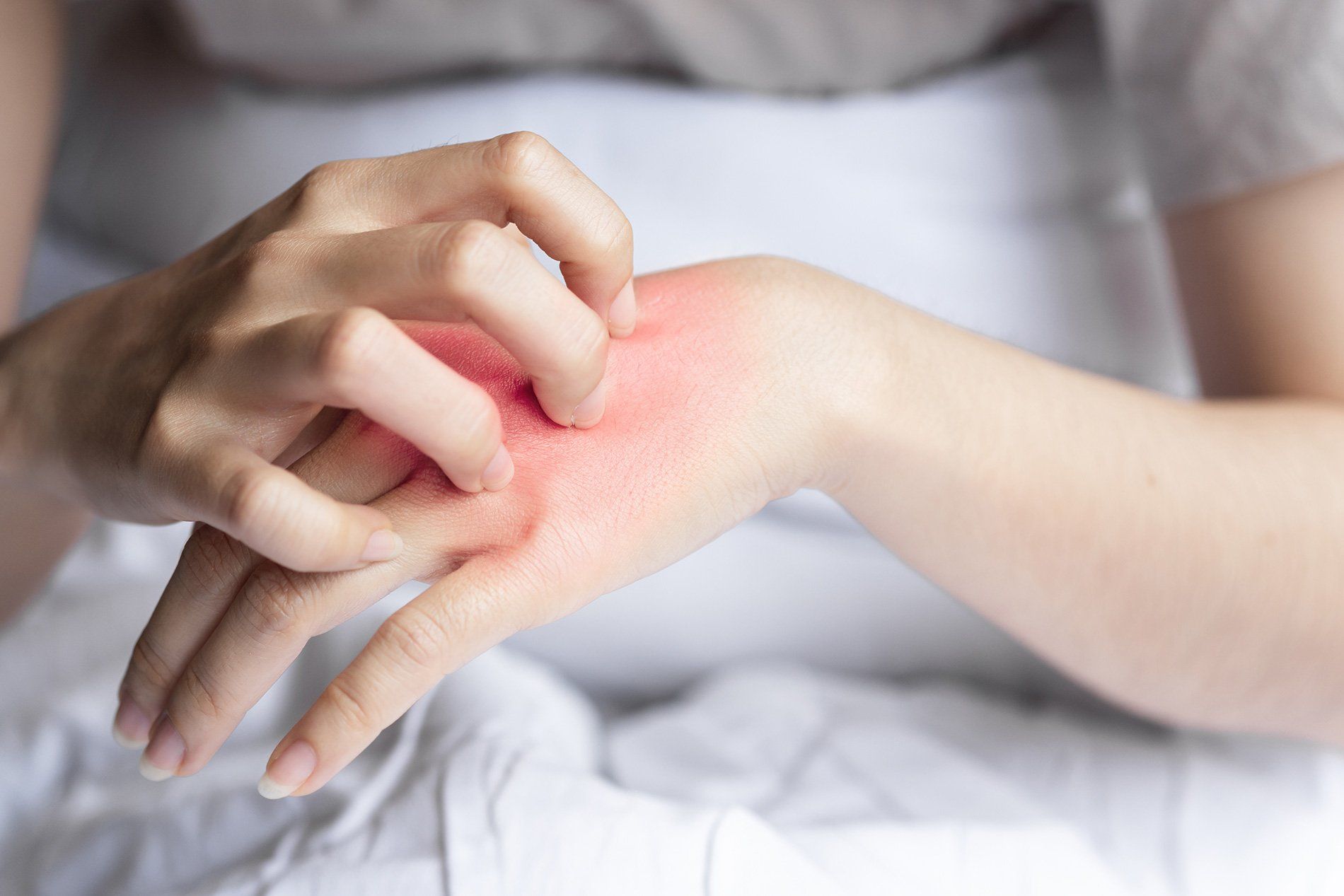Dermatologia
