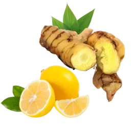 Zamolo Onion & Ginger Tea