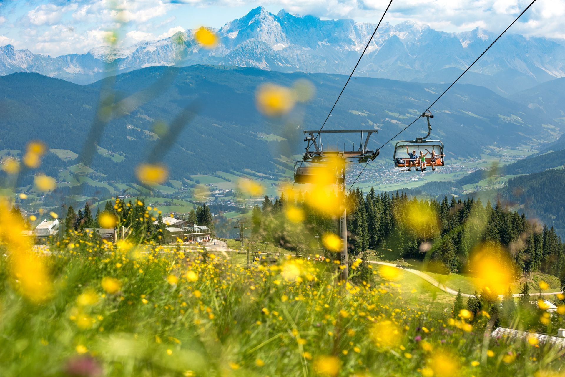 Gelbe Wildblumen auf einer Bergwiese, dahinter eine Seilbahn, die über ein Tal gleitet, und schneebedeckte Gipfel.