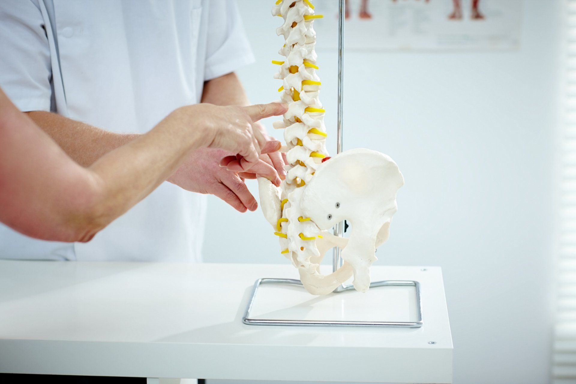 Spinal Cord — Lincoln, NE — Freeman Chiropractic Clinic