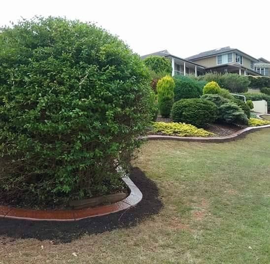 Round Bush Bordered With Mulch — Brett's Continuous Garden Edges In North Haven, NSW