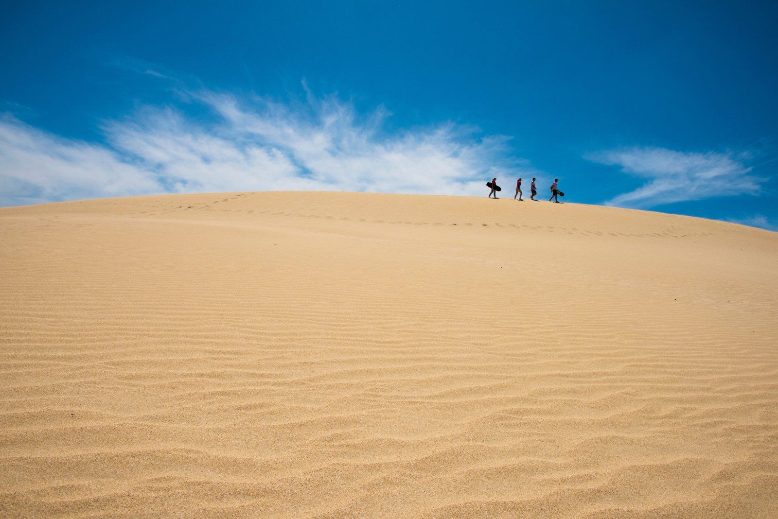 Discover the best places to eat and drink, what to see and do and where to stay on Kangaroo Island
