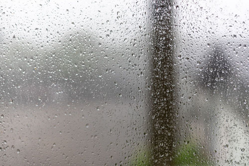 A Window With Rain Drops On It And A Tree In The Background — Scratchless Glass Australia in North Brisbane, QLD