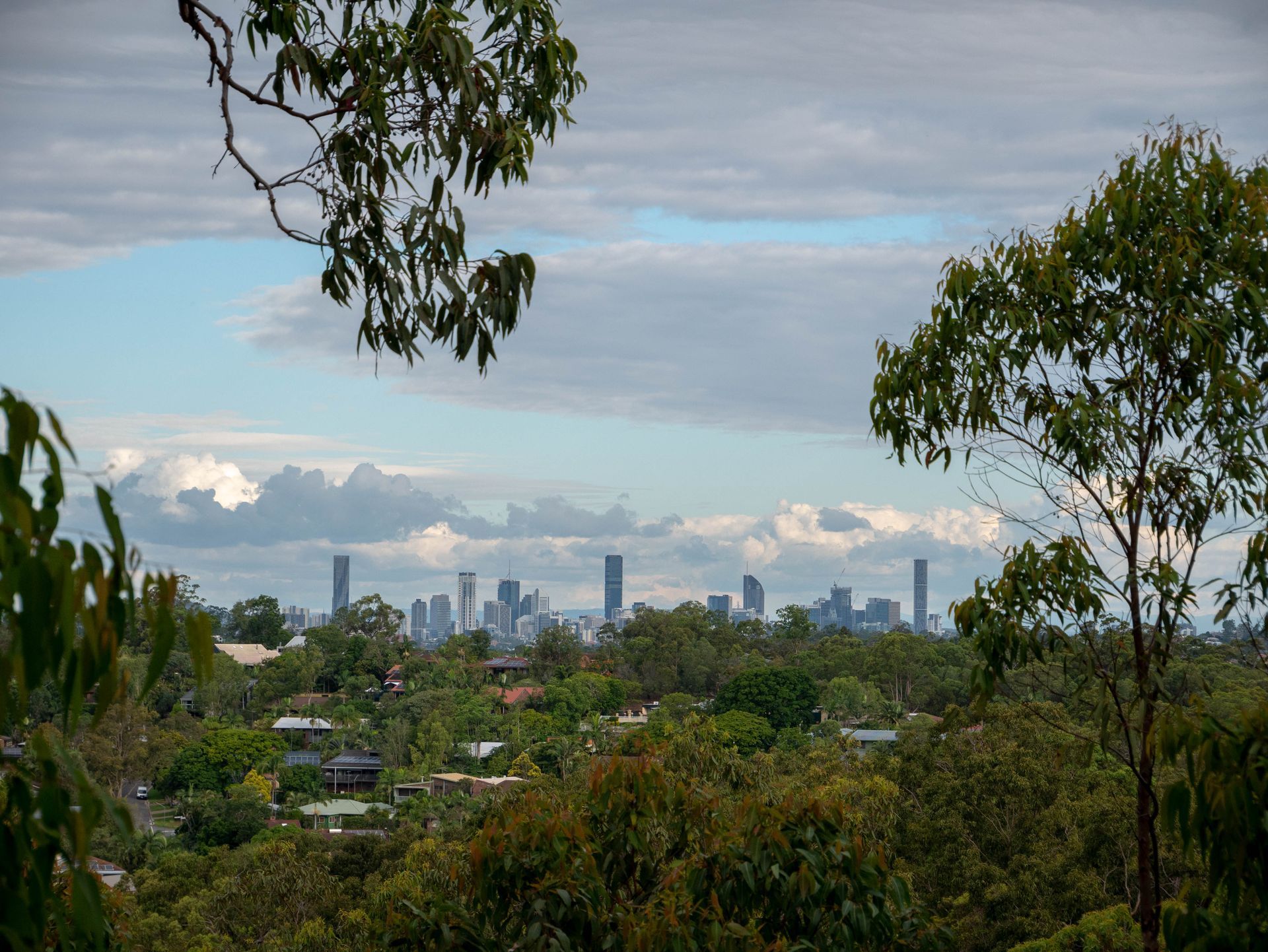 Distant City Skyline Framed by Lush Green Trees Under a Cloudy Sky — Scratchless Glass Australia in North Brisbane, QLD