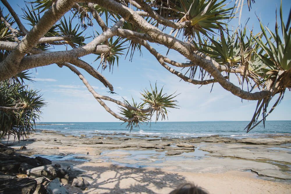 A Person Is Sitting Under A Tree On A Beach Looking At The Ocean
— Scratchless Glass Australia in Caloundra, QLD