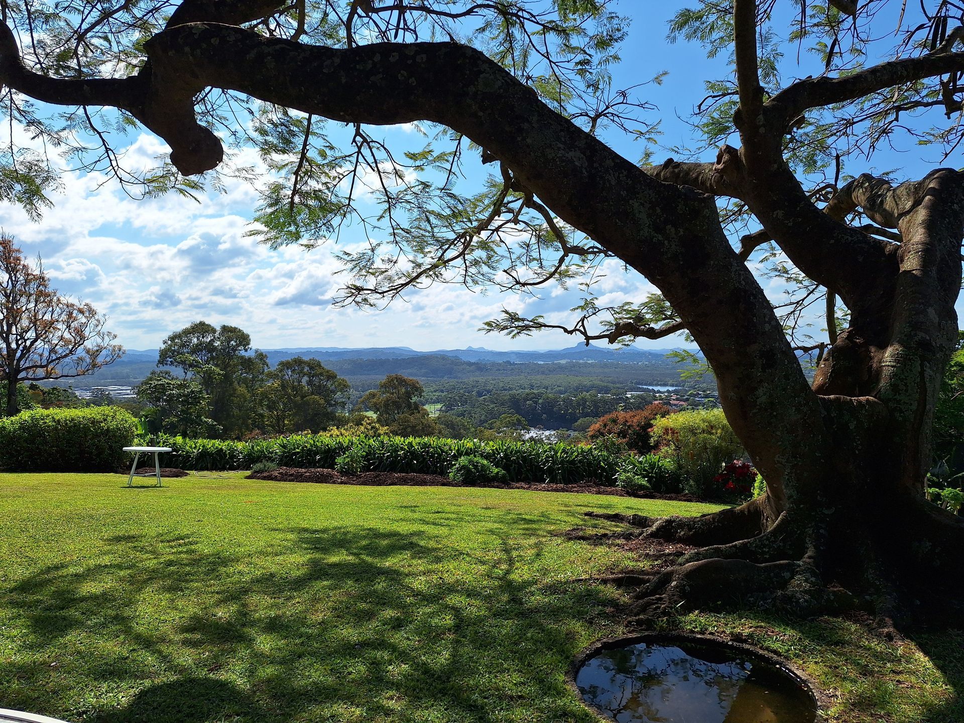 Shady Park Lawn With a Large Tree, Flower Beds — Scratchless Glass Australia in Buderim, QLD