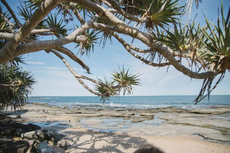 A Person Is Sitting Under A Tree On A Beach Looking At The Ocean
— Scratchless Glass Australia in Caloundra, QLD