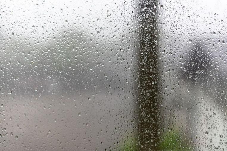A Window With Rain Drops On It And A Tree In The Background — Scratchless Glass Australia in Maroochydore, QLD